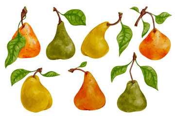 Set of colorful ripe pear fruits. Vector graphics.