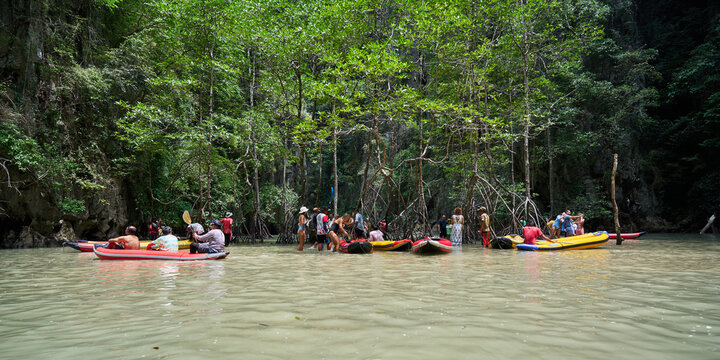 Mangrove cave at Panak island of Ao Phang Nga National Park, Thailand	
