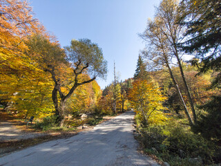 Autumn view of Vitosha Mountain, Bulgaria