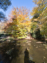 Autumn view of Vitosha Mountain, Bulgaria