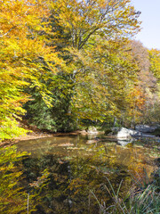 Obraz premium Autumn view of Vitosha Mountain, Bulgaria