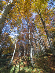 Autumn view of Vitosha Mountain, Bulgaria