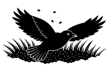 A black bird flying in the air over a field