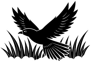 A black bird flying in the air over a field