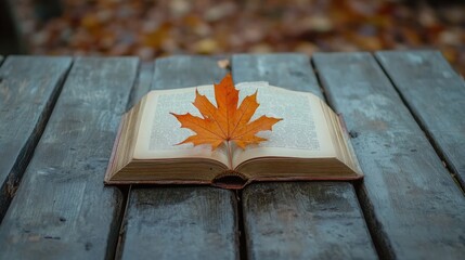 Open book with leaf on top. Perfect for representing autumn, reading, and knowledge.