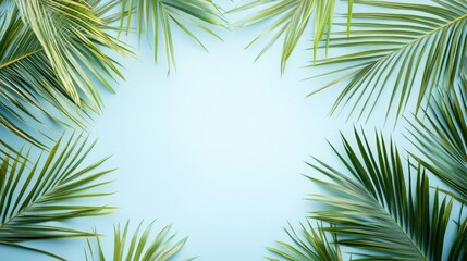 Tropical palm leaf frame on a blue and white background ideal for cosmetic products summer themed templates travel promotions and holiday sales