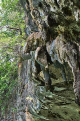 Natural elephant sculpture at Hong island at Ao Phang Nga National Park, Thailand	
