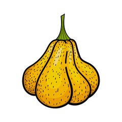 Hand drawn pumpkin in bright colors on white background. Autumn illustration.