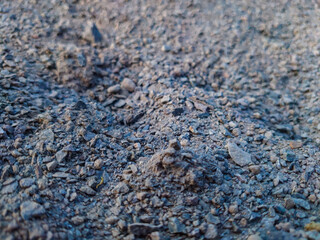 texture of stone, background, stone macro, macro of stone, land macro, ground macro