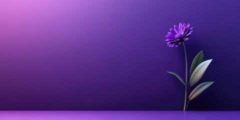 Purple flower with leaves set against a background of purple shadows, Purple flower and leaves with purple shadow background