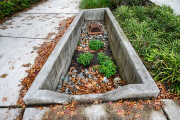 Rusty raised square iron stormwater drain surrounded by small rocks and plants, lower than ground...