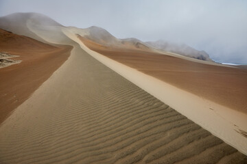 Endless waves of golden sand beneath the desert sun. Nature's masterpiece carved by wind and time. Patitos Beach Huarmey Peru
