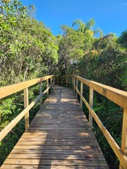 Fototapeta premium Passsarela de madeira no meio de uma floresta, com árvores ao redor