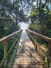 Obraz premium passarela de madeira com corrimão, no meio de uma floresta, direcionando para uma praia.