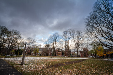 Autumn trees with yellow leaves in fall in Dundonald park of Centretown. Centretown is a residential bourough of Ottawa, in the city center.