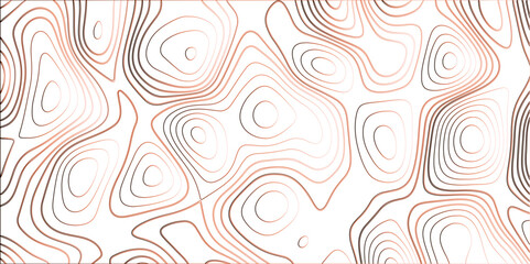 Obraz premium Topographic canyon geometric map relief texture with curved layers and shadow. abstract White background with a beautiful pattern, Topographic contour lines vector map seamless pattern vector. 