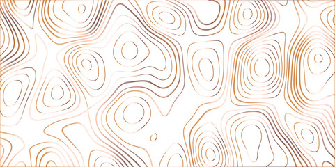 Topographic canyon geometric map relief texture with curved layers and shadow. abstract White background with a beautiful pattern, Topographic contour lines vector map seamless pattern vector.	
