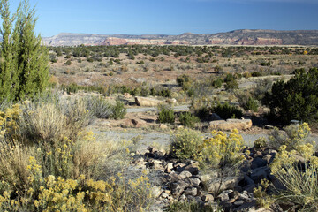 Beautiful view of the red rocks at Ghost Ranch from the Army Corps of Engineers’ Abiquiu Lake in northern New Mexico, USA