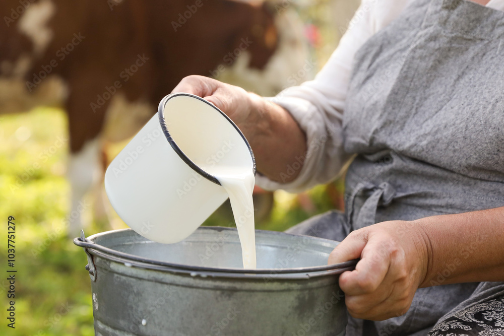 Canvas Prints Senior woman pouring fresh milk into bucket outdoors, closeup