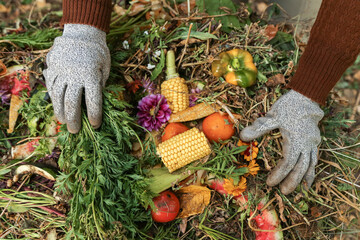 Compost heap pile with bio waste. Farmer hands put weeds grass plants, vegetable fruit scraps from in compost. Zero waste, composting