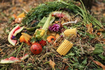 Compost pile heap in garden close-up. Bio waste, vegetables and fruits food scraps background,...