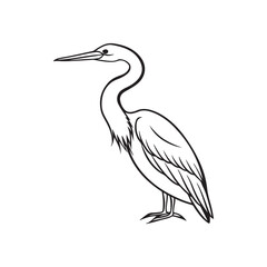 Ahinga bird line out art vector style with white background.