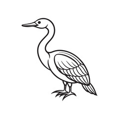 Ahinga bird line out art vector style with white background.