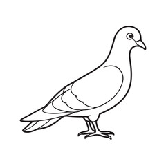 Dove line out art vector style with white background.