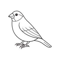 Finch bird line out art vector style with white background.