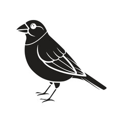 Finch bird silhouette vector style with white background.