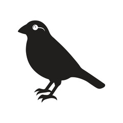 Finch bird silhouette vector style with white background.