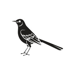 Mocking bird silhouette vector style with white background.