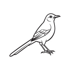 Mocking bird line out art vector style with white background.