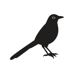 Mocking bird silhouette vector style with white background.
