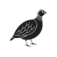 Quail bird silhouette vector style with white background.