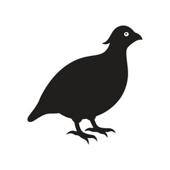 Quail bird silhouette vector style with white background.