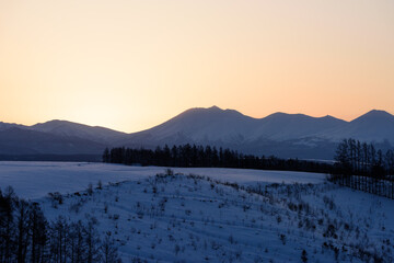 真冬の美瑛の日の出風景