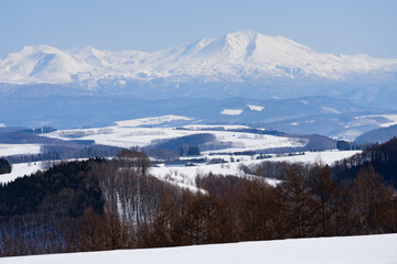 Fototapeta premium 北海道 冬の美瑛の雪景色