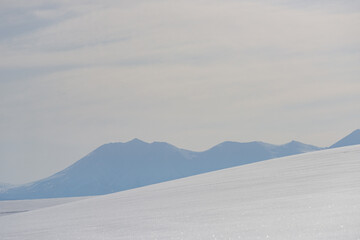 北海道　冬の美瑛の雪景色