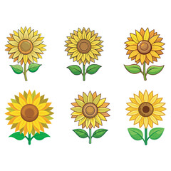 sunflower vector