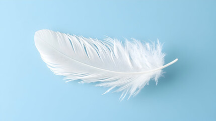White Feather Gracefully Falling Against a Blue Background in a Soft and Elegant Display  -