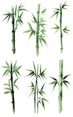 Fototapeta premium Collection of watercolor bamboo stalks, elegant and delicate nature. vibrant green illustrations.