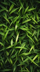 Fototapeta premium Dense green grass leaves gently overlapping, creating a lush and vibrant texture. Ideal for nature-themed designs with a refreshing look.