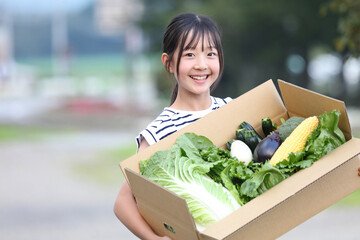 ダンボールに詰め合わせたたくさんの野菜を持つ女性