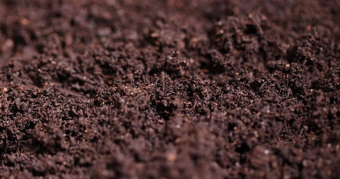 black fertile soil close-up, mixed soil with the addition of peat to increase fertility