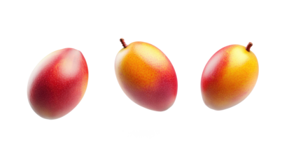 mango fruits on transparent background