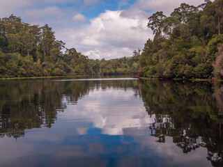 River Bank Reflections Tasmania