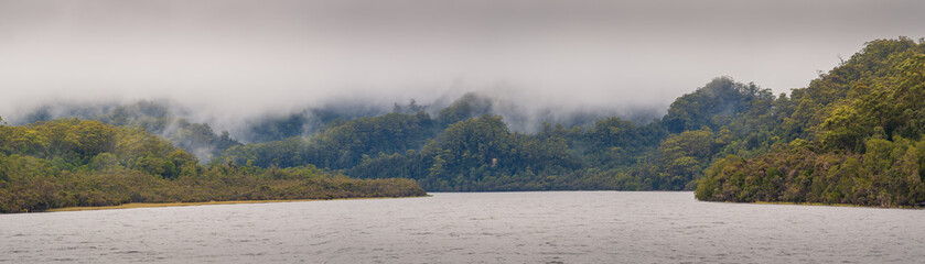 River and River Bank Panorama Tasmania