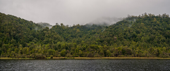 River and River Bank Panorama Tasmania