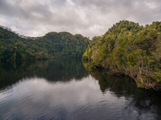 River Bank Reflections Tasmania